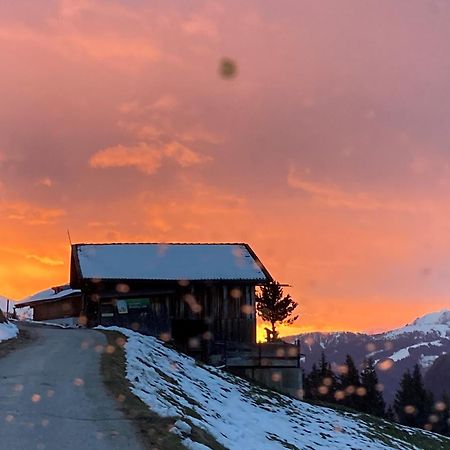 Ferienhaus Waidmannsruh Hippach Exteriör bild